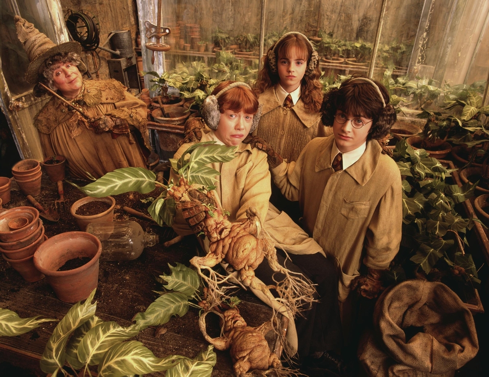 EEW_2002shoot_mark_seliger_vf_001.jpg
